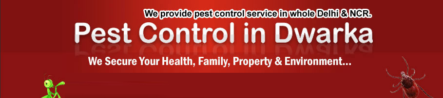 Pest Control Dwarka